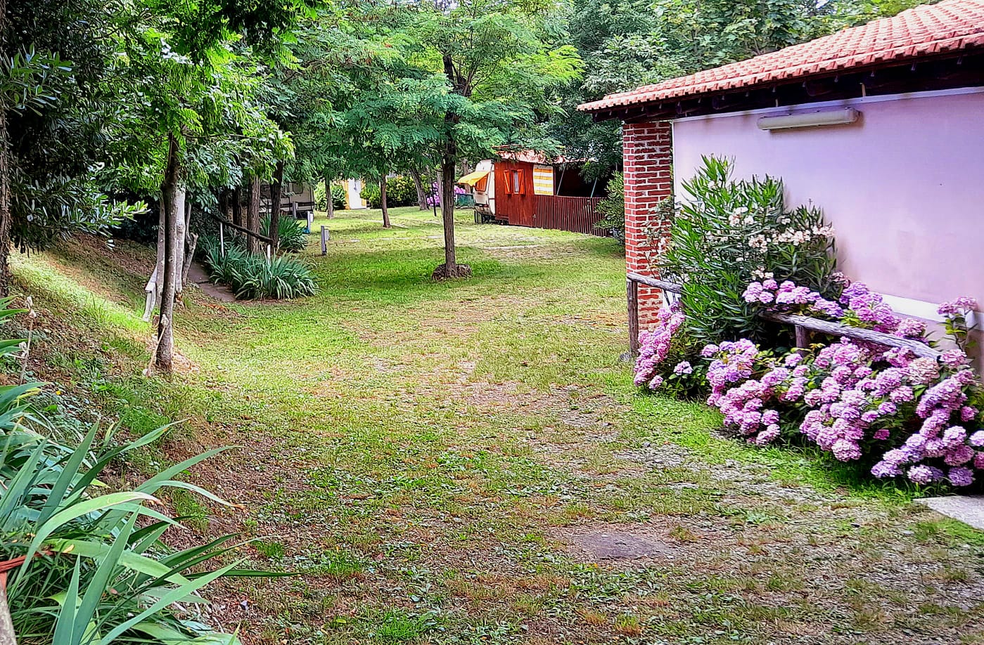 Area verde curata del campeggio con alberi e ortensie in fiore