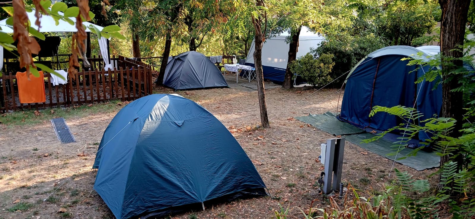 Area campeggio ombreggiata con diverse tende tra gli alberi